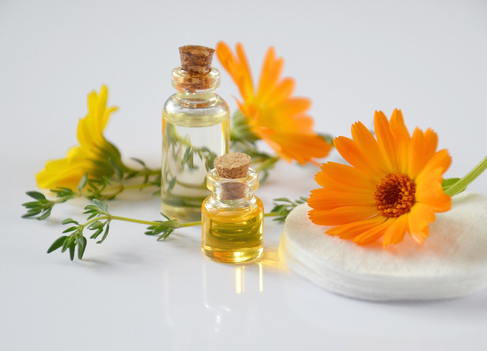 Speech Sample: Essential Oils and Epigenetics