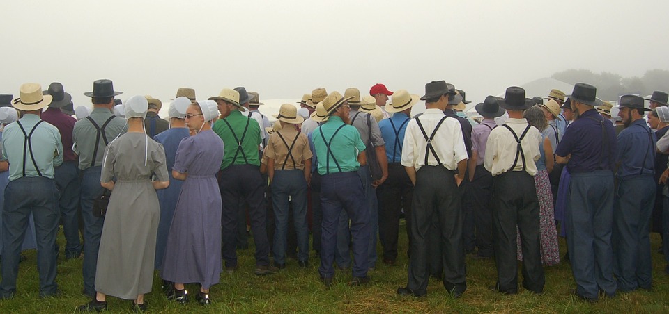 The Amish Research Paper Sample